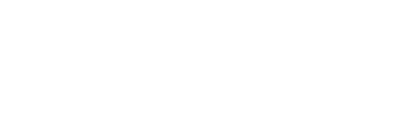 Flynet Express